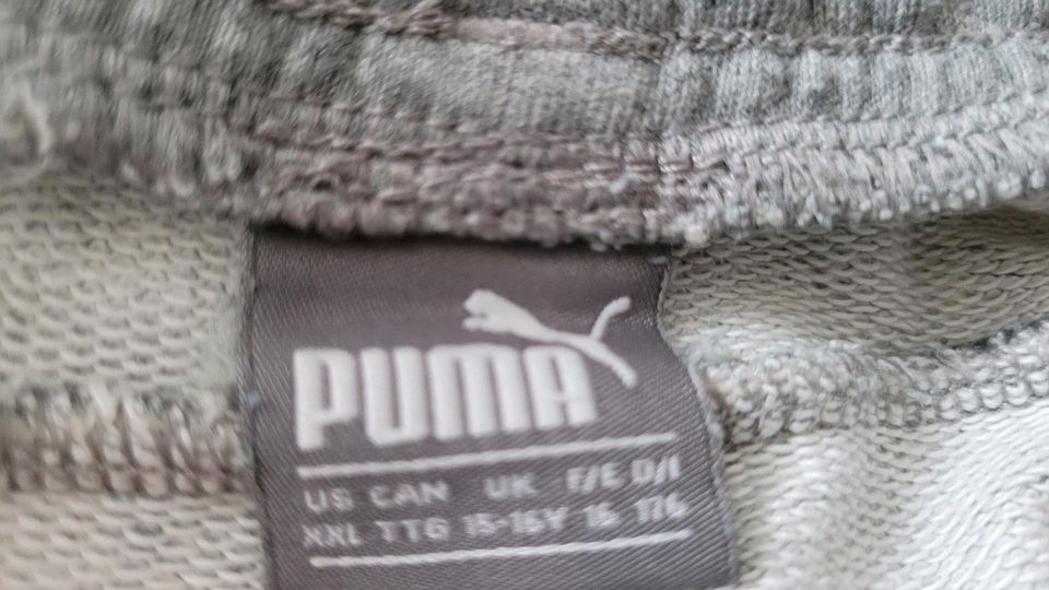 Jetsey Shorts von Puma Gr. 176 zu verkaufen in Holzminden