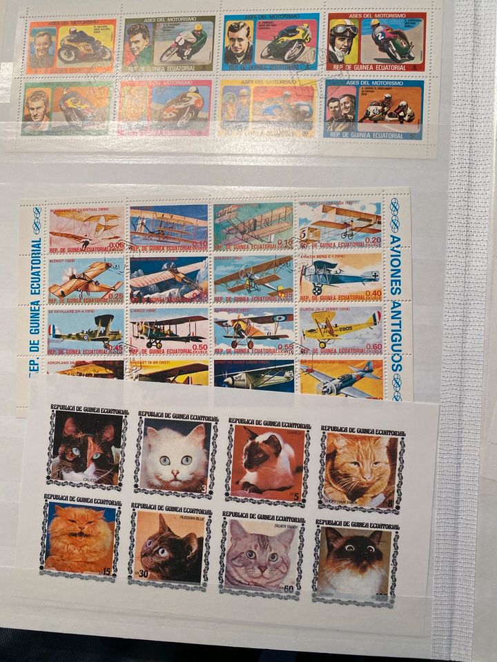 Riesige Briefmarken Sammlung mehrere Tausend in 11 Alben in Wolfenbüttel