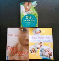 Elternratgeber (Oje, ich wachse; Babyflüsterer; Das Baby 1x1) Bayern - Nittenau Vorschau