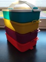 Tupperware Stapel & Klick (4) Nordrhein-Westfalen - Sundern (Sauerland) Vorschau