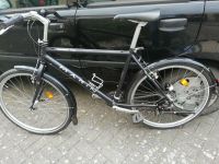 Rennrad, Cruiser, Marin bike USA, Rh=50cm beste Qualität Nordrhein-Westfalen - Straelen Vorschau