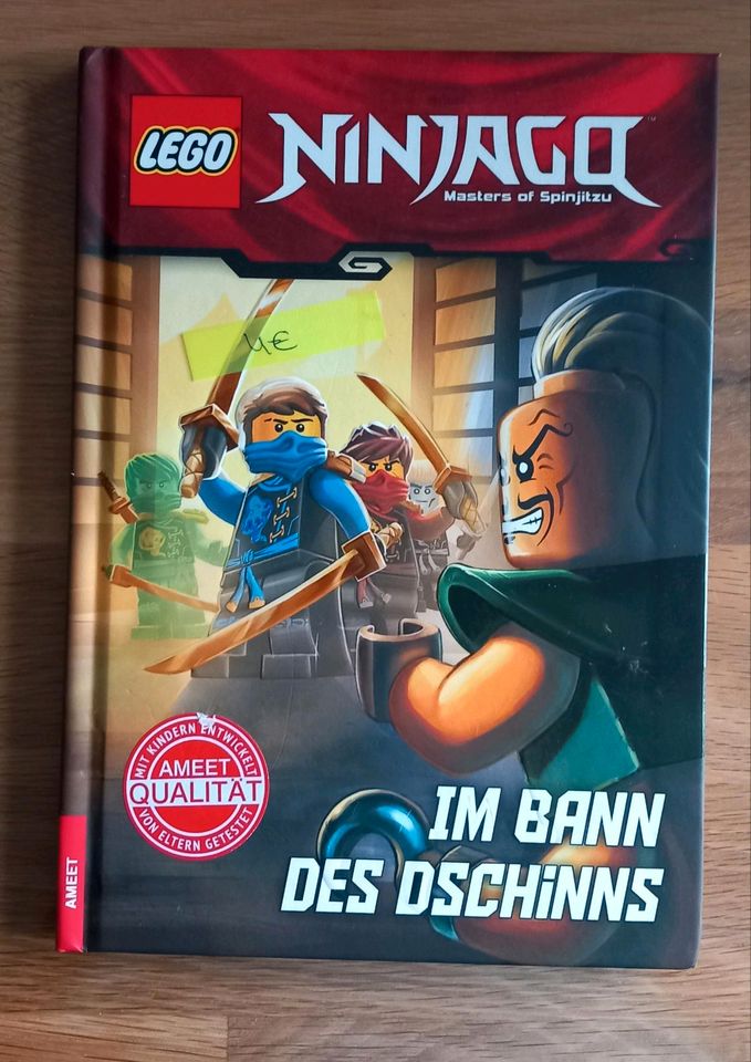 Verschiedene Ninjago Bücher in Alsfeld