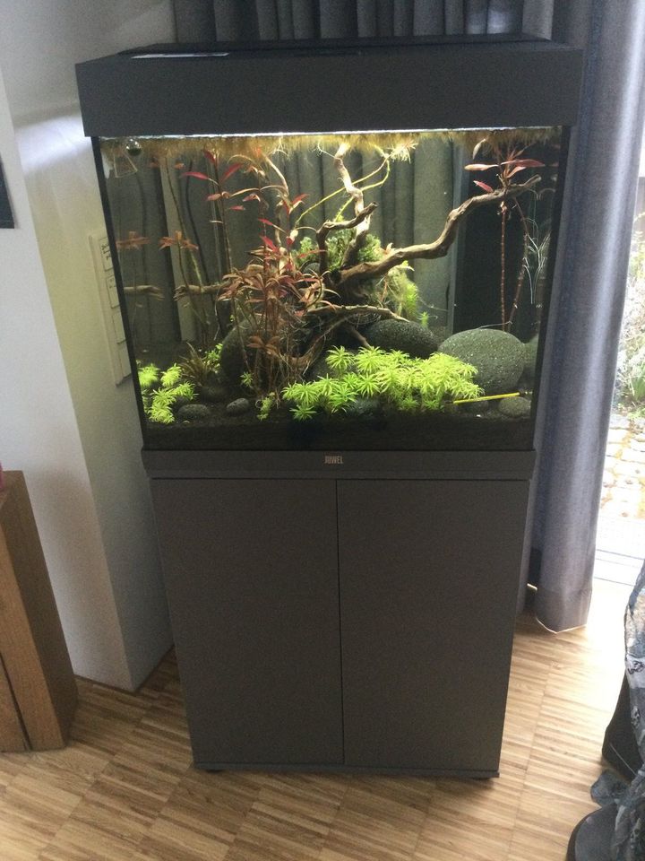 Aquarium Juwel Lido 120 Liter einschließlich CO2-System + Zubehör in Karlsruhe