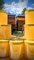 Honig aus pestizidfreiem Umfeld Niedersachsen - Goslar Vorschau