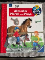 Wieso Weshalb Warum Kinderbuch „Alles über Pferde und Ponys“ Pankow - Prenzlauer Berg Vorschau