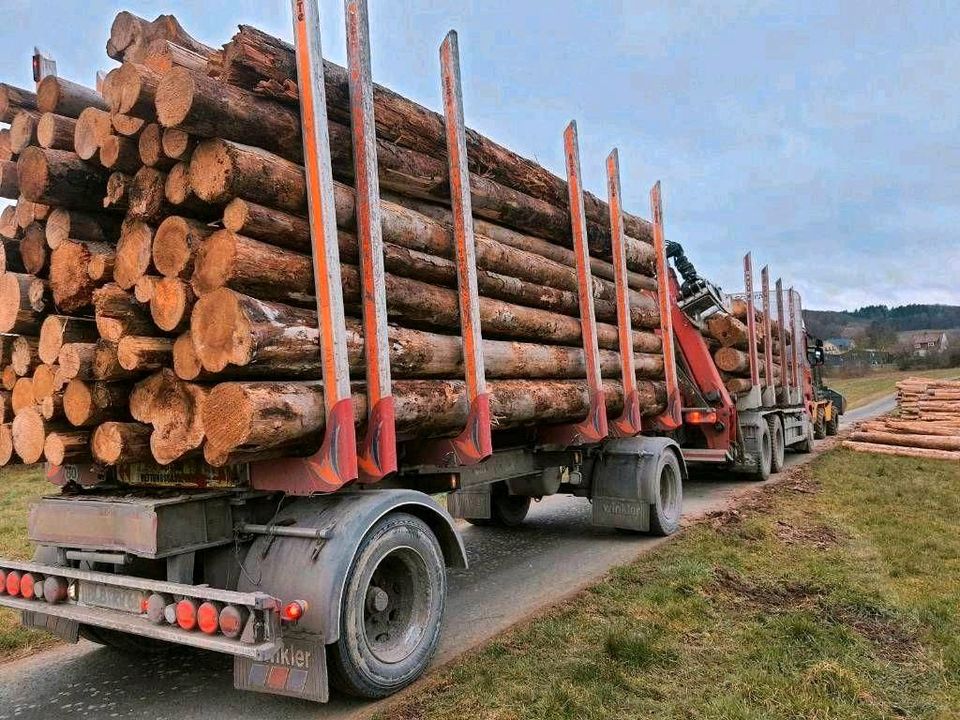 Stammholz Fichte Käferfichte Lkw geliefert Poltern Brennholz in Gladenbach