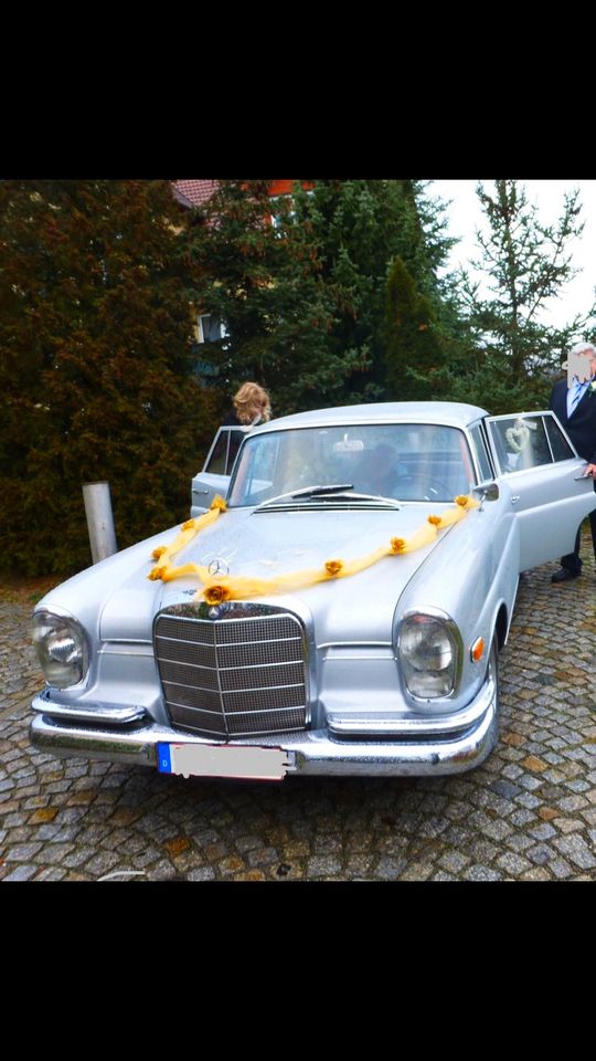 Oldtimerfahrten, Hochzeitsfahrt Mercedes Benz SE220 Hochzeitsauto in Weißwasser