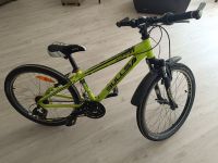 Bulls Tokee 24"  Mountainbike  Kinderfahrrad Sachsen - Bernsdorf Vorschau