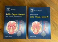 Buch Zelle Organ Mensch Peter Kugler Buch Schleswig-Holstein - Kayhude Vorschau