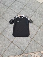 Adidas Shirt gr.152 Bayern - Nördlingen Vorschau