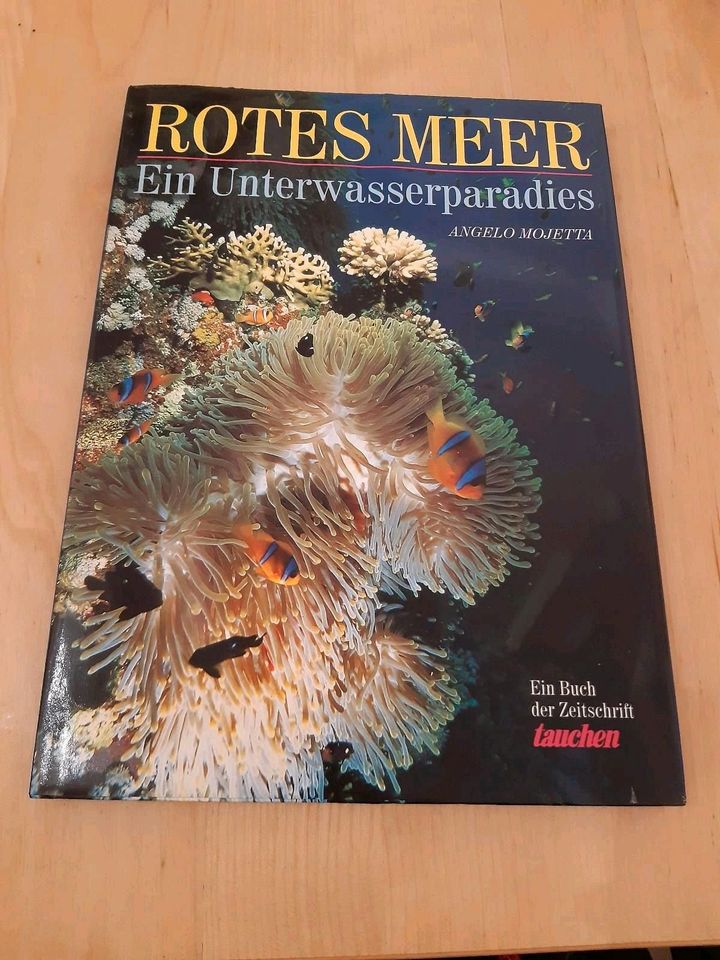 verschiedene Sachbücher (Meer, Fische, Tauchen, Tiere ... ) in Berlin