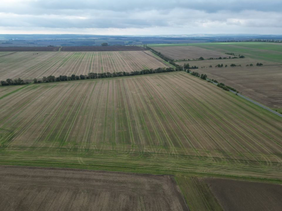 Grundstück mit weitschweifenden Südblick in Liebstedt in Ilmtal-Weinstraße