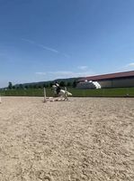 Reitbeteiligung (Reiter sucht Pferd) Baden-Württemberg - Rielasingen-Worblingen Vorschau