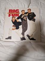 Big Fun A Pocketful Of Dreams 1990 - LP vinyl. Baden-Württemberg - Hockenheim Vorschau