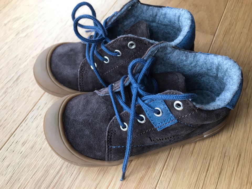 Lamino Herbst Winter Schuhe gefüttert Gr. 27 Dark Brown Junge in Schotten