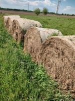 Rundballen Heu Niedersachsen - Uplengen Vorschau