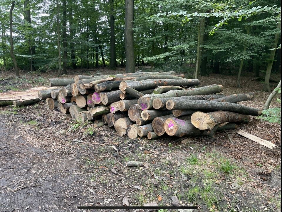 Lohnspalten von Kaminholz, Weidepfählen, Holzspalter / Brennholz in Ahaus