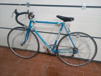 Rennrad Winora Vintage Fahrrad Herrenrad Nordrhein-Westfalen - Borchen Vorschau