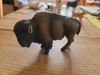 Büffel (Bison, Wisent) von Schleich Saarbrücken-Mitte - St Johann Vorschau