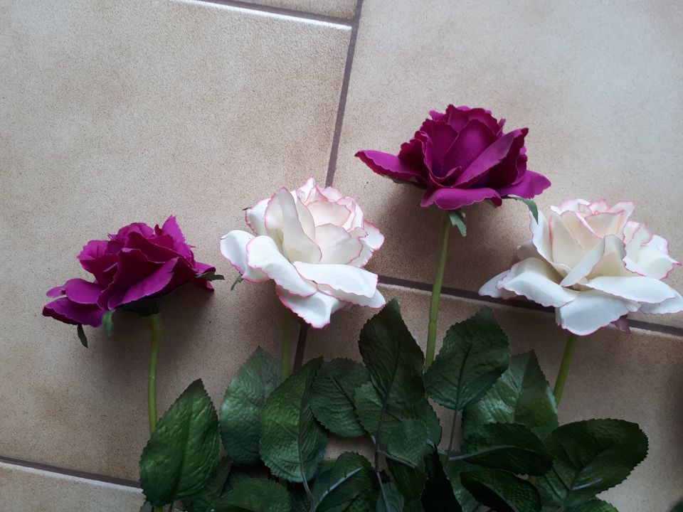 5 langstielige Rosen in Weingarten