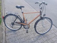 Pegasus 26 Zoll Trekking Fahrrad Nordrhein-Westfalen - Paderborn Vorschau