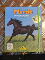 Pferde Von edlen Arabern bis zu robusten Ponys mit DVD Frankfurt am Main - Bonames Vorschau