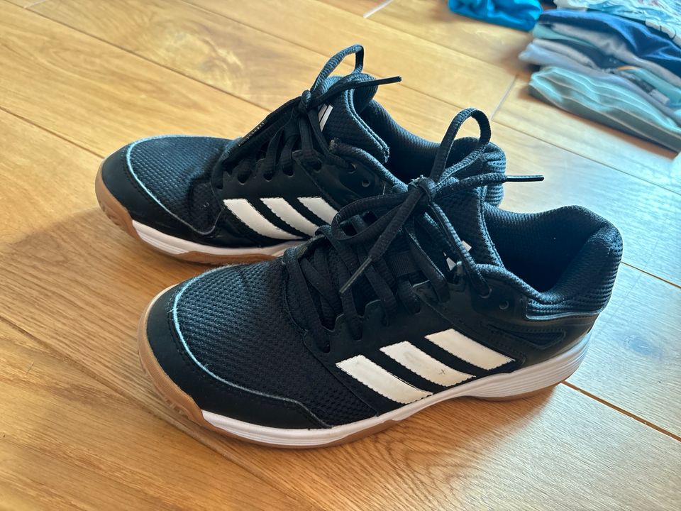 Adidas Hallenschuhe schwarz Gr. 35 - Sport - Turnschuhe - Sneaker in Dieburg