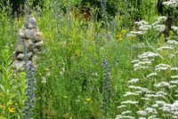 Suchen (ggf verwilderten) Garten /  Gütle / Freizeitgrundstück Baden-Württemberg - Tübingen Vorschau