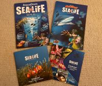 SEA LIFE Aquarium Hefte / Magazine z.B. Berlin - Königswinter TOP Rheinland-Pfalz - Neuwied Vorschau