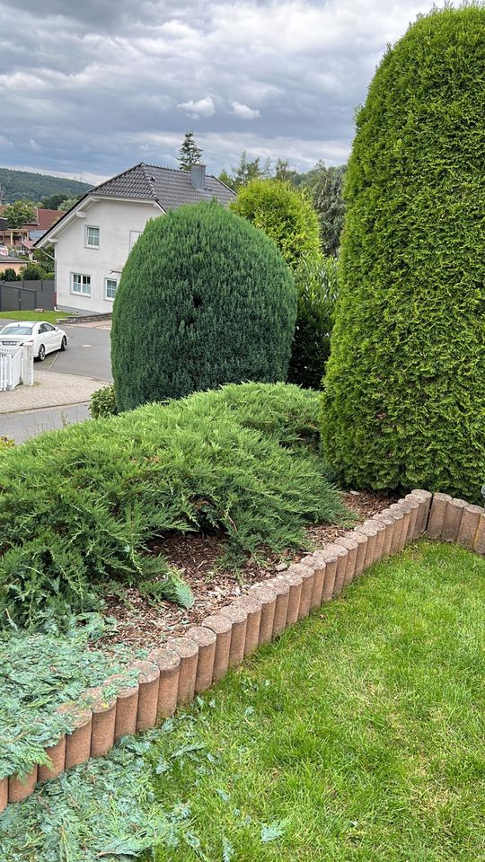 Ihr perfekter Garten ist nur einen Anruf entfernt! in Homberg