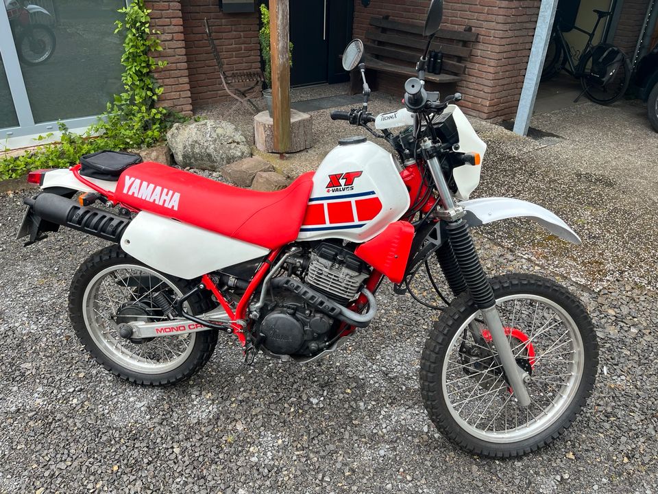 Yamaha XT 350 in Höxter