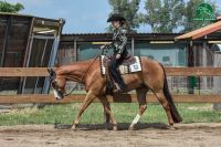 Western Showoutfit mit passendem Blanket Sachsen-Anhalt - Grimme Vorschau