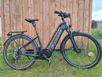 Damen E-bike Diamant Zouma Deluxe+ Schleswig-Holstein - Lübeck Vorschau