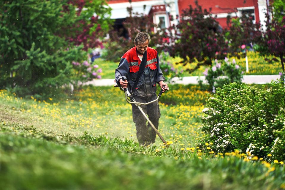 Hausmeistertätigkeiten sowie Gartenarbeiten, Entrümpelung in Mülheim (Ruhr)