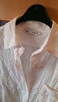 Cremefarbende Bluse von Zara Rostock - Evershagen Vorschau