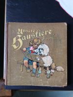 Altes Kinderbuch v. Fritz Gareis jr. Gröpelingen - Gröpelingen Vorschau