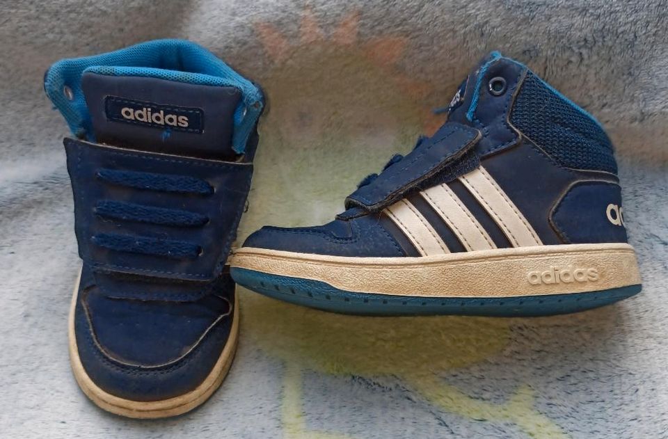 Schuhe Adidas Gr. 25 in Joldelund