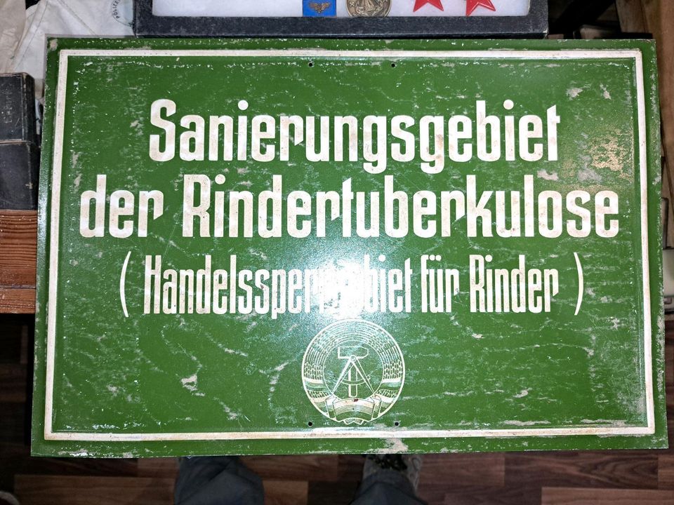 Original DDR Blechschild Rindertuberkulose ,selten! in Straußfurt