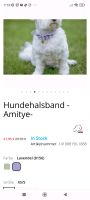 HKM Set Amitye Gr. S Lavendel Halsband + Leine Nordrhein-Westfalen - Hamminkeln Vorschau