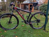 Felt MTB 29" Hardtail L Carbon Nordrhein-Westfalen - Recklinghausen Vorschau