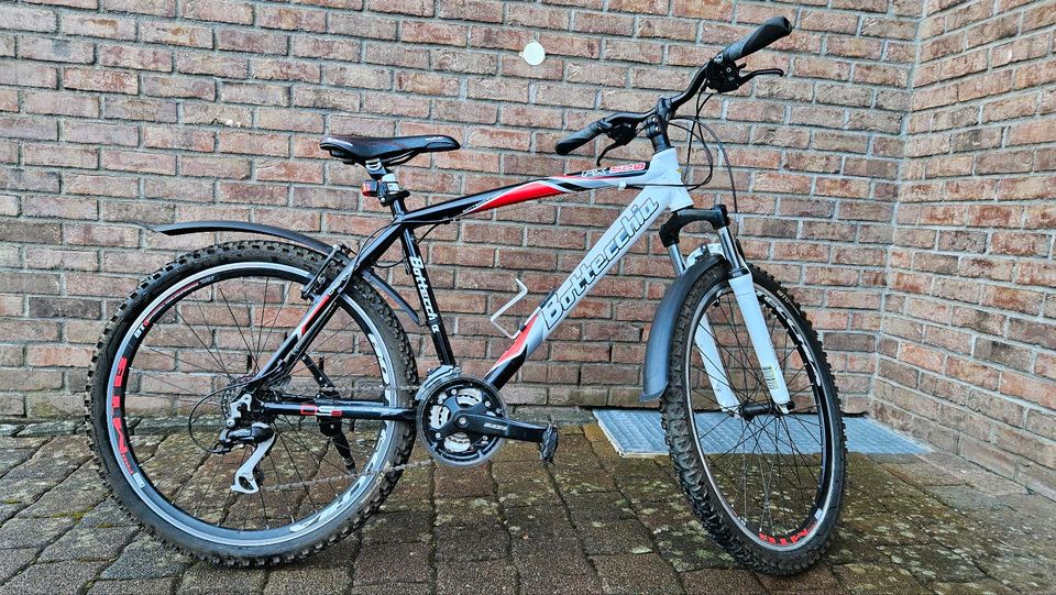 Bottecchia Mountainbike, FX 520 in Flammersfeld