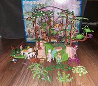 Playmobil Fairies 9132 Schleswig-Holstein - Börnsen Vorschau