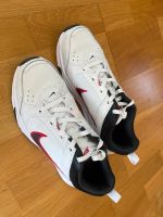 Nike Herren Gr.  43 neuwertig Sachsen-Anhalt - Dessau-Roßlau Vorschau