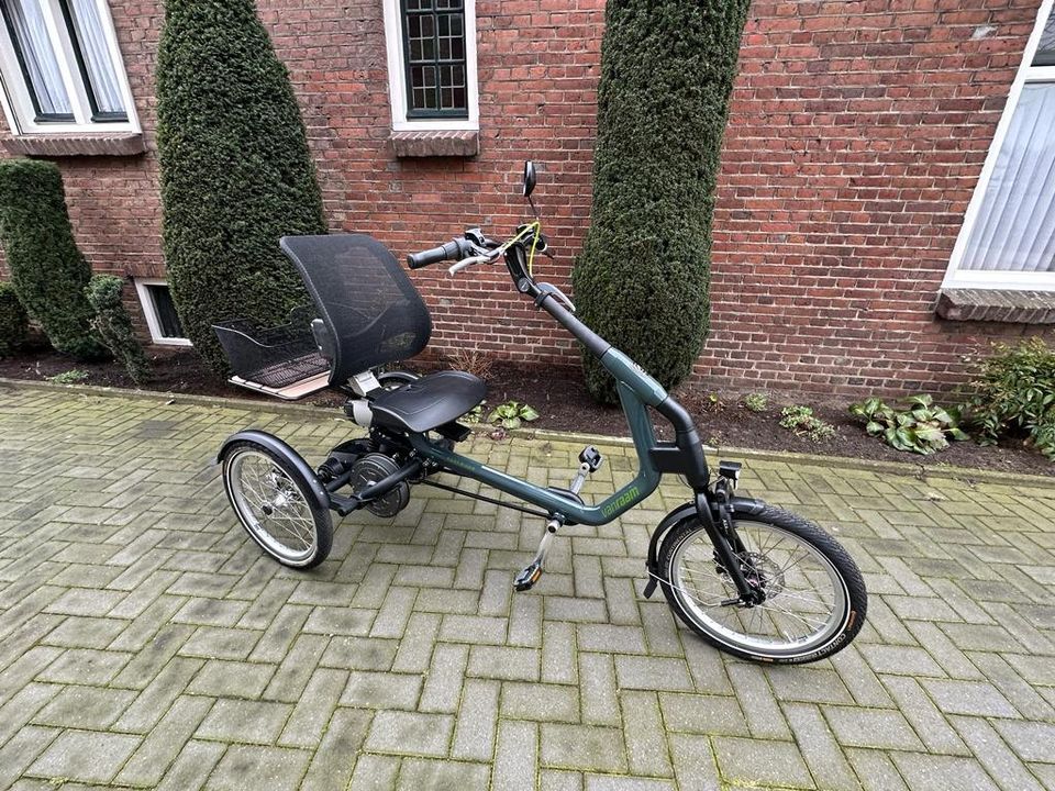 Van Raam Easy Rider 3 mit Silent HT Electric in Werkhausen