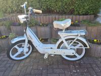 Piaggio Ciao Moped / Mofa Hessen - Lauterbach (Hessen) Vorschau