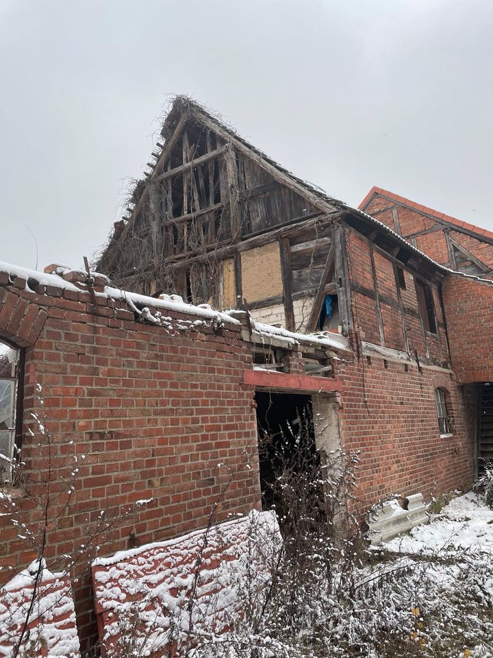 Doppelhaushälfe in der Börde Grundstück 1006 m Preis verhandelbar in Hakenstedt