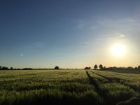 Ackerflächen/ Grünlandflächen in Erding zum Pachten Bayern - Erding Vorschau