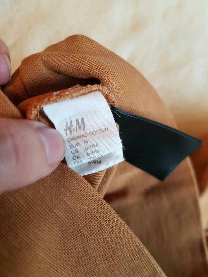 Süßes Set Gr.74 für den Sommer  von H&M in Tegernau