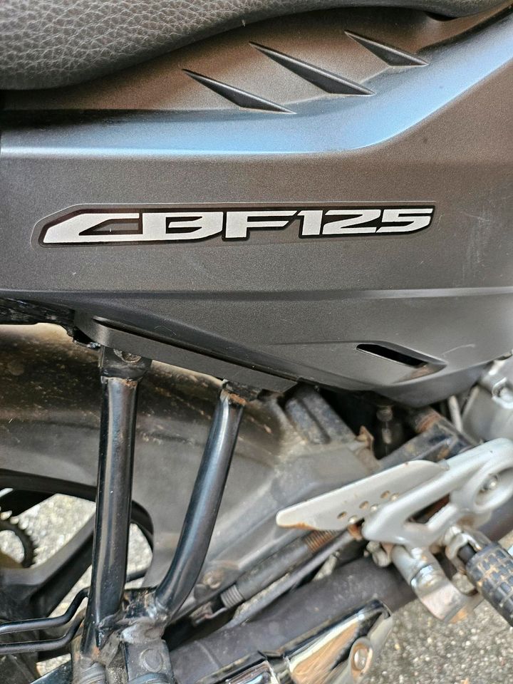 Honda CBF 125 TÜH bis Juni 2025 in Rodgau