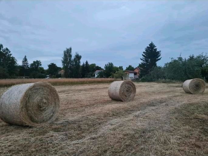 Heu kleine Ballen in Neuruppin